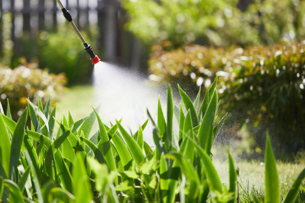 24/7 Emergency Mosquito Control experts in Tea, SD